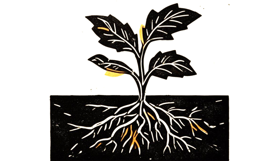 Blockprint-style illustration of a young plant with unfolding leaves above ground and a branching root system visible below in a dark band of soil, with amber accents on the leaves and roots.