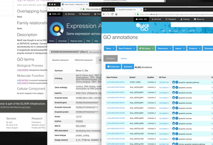 What if: A web font for data