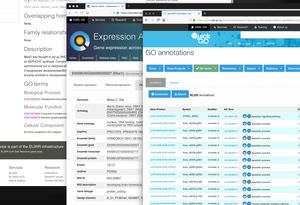 What if: A web font for data