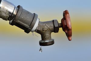 Integrating Eleventy with gulp, upstream JS