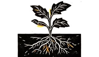 Blockprint-style illustration of a young plant with unfolding leaves above ground and a branching root system visible below in a dark band of soil, with amber accents on the leaves and roots.
