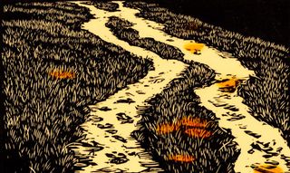 Blockprint-style woodcut of two winding pale paths through dark dense grass with warm amber accents